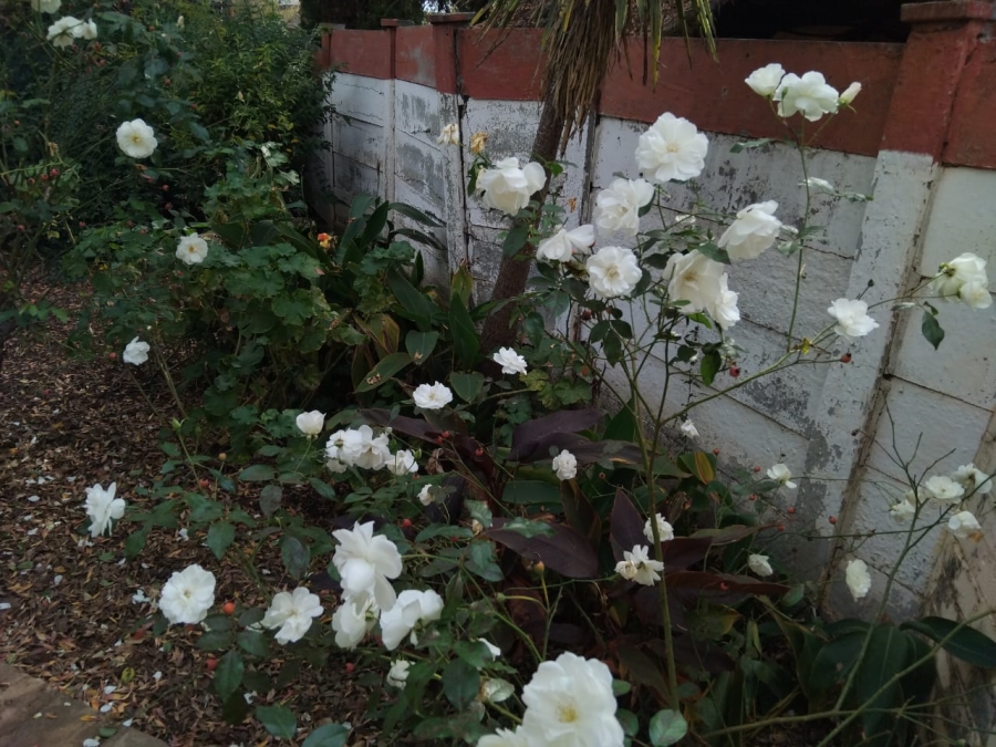 3 Bedroom Property for Sale in Wilkoppies North West